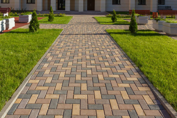 Best Driveway paver repairs and maintenance in Morton, PA